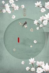 猫咪视频在线永久观看地址
